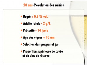 Statistics demonstrating the changes in Champagne over the last 20 years.